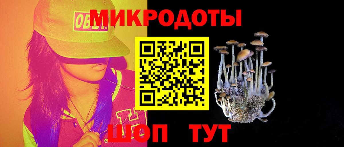 Галлюциногенные грибы Cubensis  Вход с VPN  Красноуфимск 